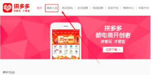 拼多多最新版本2024 拼多多最新版本2024